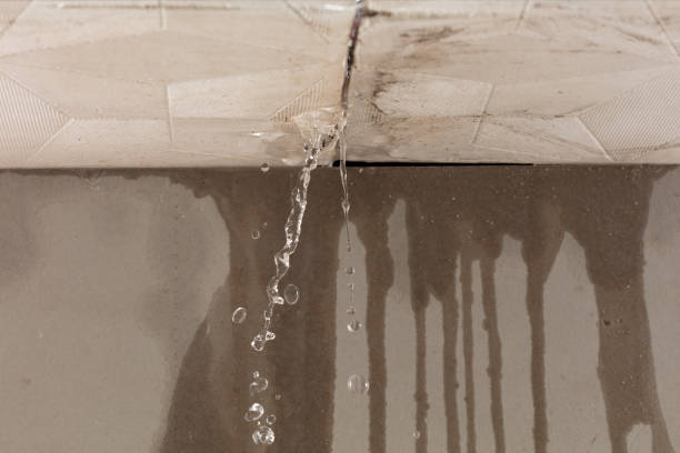 Professional Structural Drying technician working in Young Harris, GA